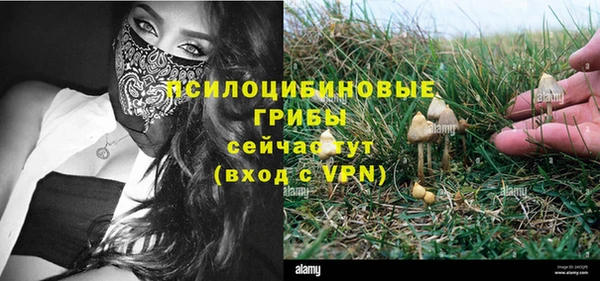 MESCALINE Каменногорск