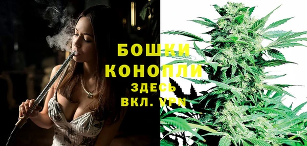 дурь Каменка