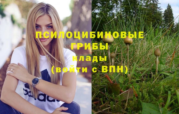 дурь Каменка