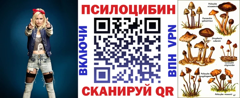 Галлюциногенные грибы мицелий Северо-Курильск